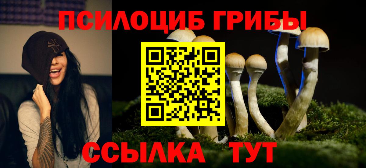 Галлюциногенные грибы Psilocybe Кириши